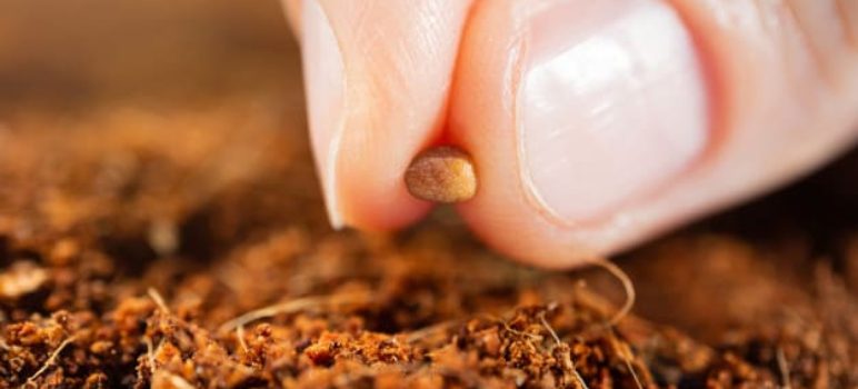 Mais de 20 anos no mercado Mais de 20 anos no mercado